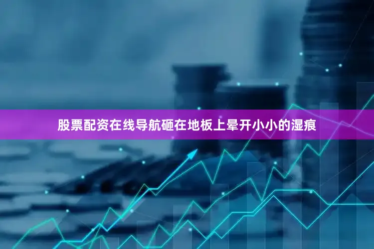 股票配资在线导航砸在地板上晕开小小的湿痕